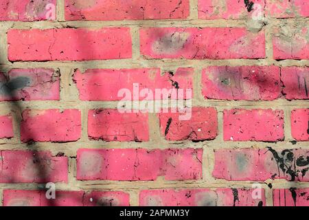 Fragment of an old brick wall painted pink paint with a shadow from tree branches on a sunny day. Abstract background Stock Photo