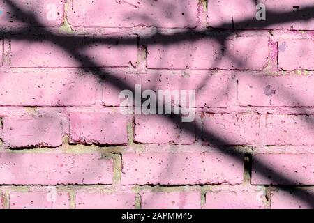 Fragment of an old brick wall painted pink paint with a shadow from tree branches on a sunny day. Abstract background Stock Photo