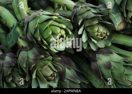 Artichokes with stalks on display Stock Photo