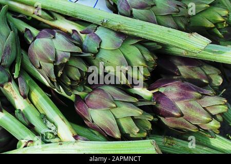 Artichokes with stalks on display Stock Photo