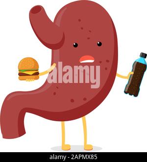 Sad unhealthy ill stomach character hold in hand fast food soda beverage bottle and burger. Human body digestive system organ destruction problem concept. Vector bad nutrition addiction illustration Stock Vector