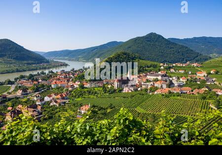 Vineyards, Spitz an der Donau, Wachau, Lower Austria, Austria Stock Photo