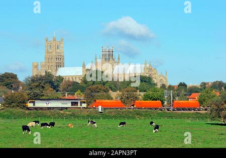 A class 60 diesel locomotive number 60061 working a train of empty RMC stone hopper wagons passing Ely Cathedral. Stock Photo