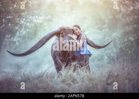 Beautiful Asian woman wearing Thai local traditional dresses with long horn buffalo. Stock Photo