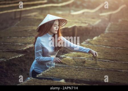 Vietnamese farmers in Vietnam, Working at the garden, planted tobacco Stock Photo