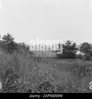 nature reserves, CRM, Roorda, Sbb Date: June 26, 1973 Location: Drachten Keywords: nature reserves Personal name: CRM, Roorda, Sbb Stock Photo