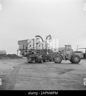 trucks, logs, workers, machines Date: undated Keywords: workers, logs, machines, trucks Stock Photo