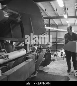 machines, tools, logs, workers, woodworking Date: undated Keywords: workers, logs, woodworking, machines, tools Stock Photo
