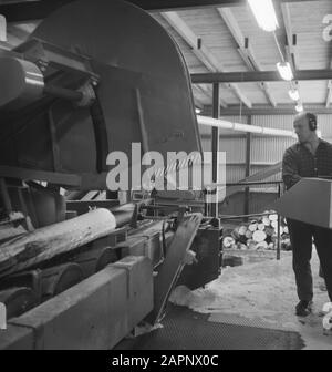 machines, tools, logs, workers, woodworking Date: undated Keywords: workers, logs, woodworking, machines, tools Stock Photo