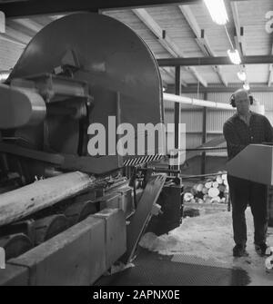 machines, tools, logs, workers, woodworking Date: undated Keywords: workers, logs, woodworking, machines, tools Stock Photo