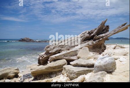 A big piece of drift wood lying on a beautiful, somewhat rocky beach of one of the islands of the Philippines archipelago. It's a sunny, summer day. Stock Photo