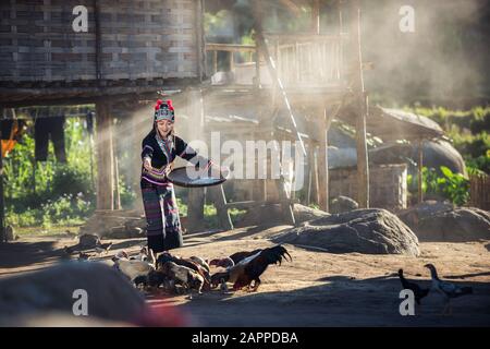 Asian girls feeding chickens at Laos countryside Stock Photo