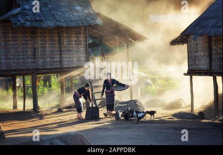 Asian girls feeding chickens at Laos countryside Stock Photo