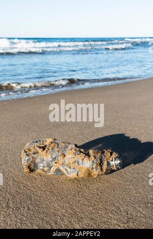 closeup of a used plastic bottle, covered with wet sand, on the sand of a lonely beach, brought back by the ocean to the seashore Stock Photo