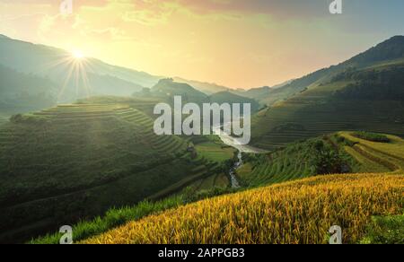 Green Rice fields on terraced in Mu Chang Chai, Vietnam Rice fields prepare the harvest at Northwest Vietnam.Vietnam landscapes. Stock Photo