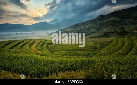 Green Rice fields on terraced in Mu Chang Chai, Vietnam Rice fields prepare the harvest at Northwest Vietnam.Vietnam landscapes Stock Photo