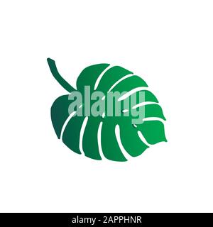 Stylish tropic monstera leaf - green gradient design closeup isolated. Stock Vector