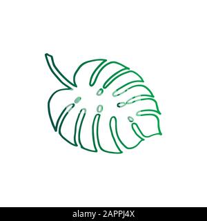 Stylish tropic monstera leaf - green gradient design closeup isolated. Tropical Leaf Silhouette - Monstera Vector Template Stock Vector