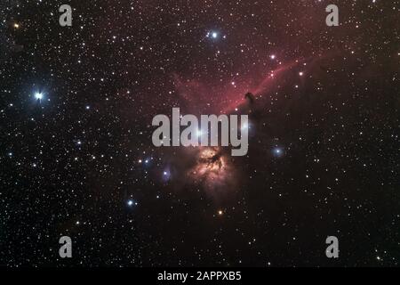 The Horsehead & Flame Nebula in the Constellation of Orion. Also ...