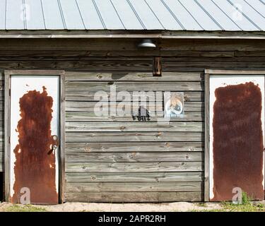 Side of an old wooden siding barn.  Tin roof, barn light, two signs and rusty doors. Stock Photo