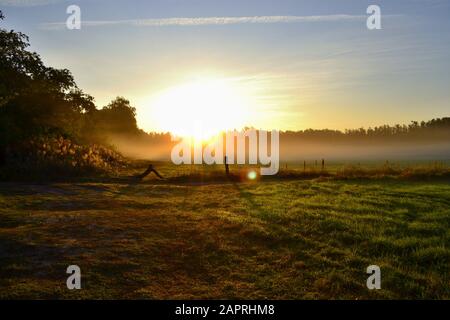 Beautiful sunny morning. Sun shining through the trees, drops of dew on the blades of low grass in front. Magical mist covering all scenery. Stock Photo