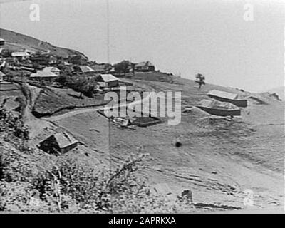 Mushuk porno video obektlari