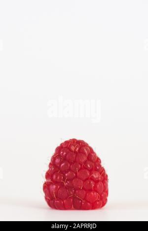 Single Red Raspberry On White Background Stock Photo