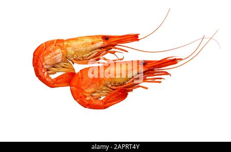 Shrimp isolated on white background. Cooked Prawns or Tiger Shrimps. Seafood. Stock Photo