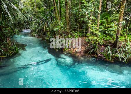 Kali Biru (Blue River); West Papua, Indonesia Stock Photo
