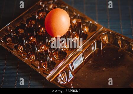 One chicken egg in a plastic tray. A large egg in a small quail egg tray. Close-up. Selective focus. Counter light. View from above Stock Photo