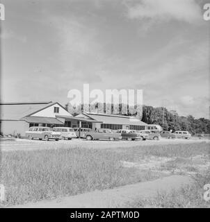 Netherlands Antilles and Suriname at the time of the royal visit of Queen Juliana and Prince Bernhard in 1955  The parking lot of Zanderij airport in Suriname Date: 1 October 1955 Location : Suriname Keywords: cars, airports Stock Photo