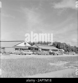 Netherlands Antilles and Suriname at the time of the royal visit of Queen Juliana and Prince Bernhard in 1955  The parking lot of Zanderij airport in Suriname Date: 1 October 1955 Location : Suriname Keywords: cars, airports Stock Photo