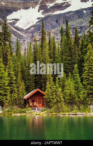 Wooden log cabin on a lake shoreline reflecting in the sun, with evergreen trees and mountain cliff in the background; Field, British Columbia, Canada Stock Photo