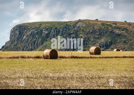 Stanley, Tasmania, Australia - December 15, 2009: The Nut volcanic plug behind hay field with rolls under cloudscape. Stock Photo