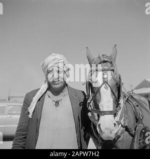 Middle East 1950-1955: Egypt  Coachman with his horse in Alexandria Date: 1950 Location: Alexandria, Egypt Keywords: men, horses Stock Photo