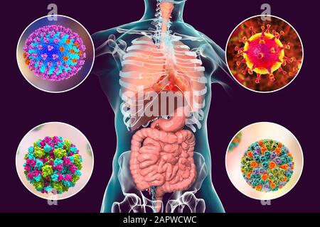 Viral respiratory and enteric infections, illustration Stock Photo