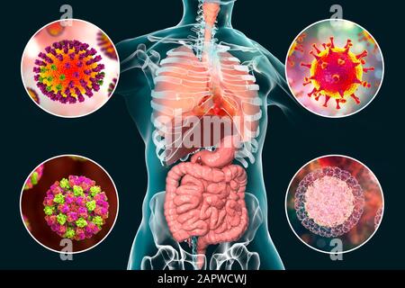Viral respiratory and enteric infections, illustration Stock Photo