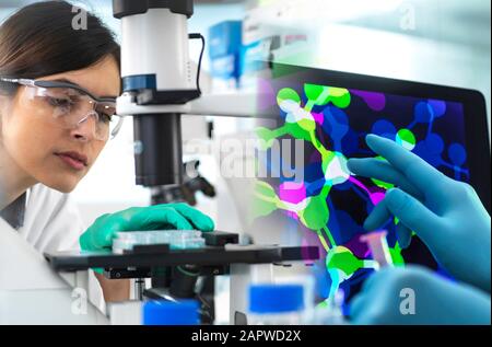 Biotechnology research Stock Photo