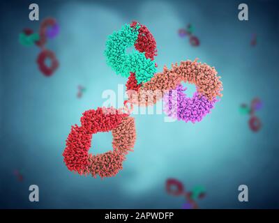 Antibody structure, illustration Stock Photo - Alamy