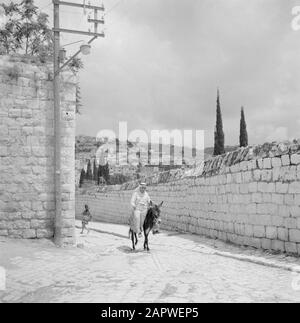 Israel: Nazareth  Man on a donkey, riding along a wall Date: undated Location: Galilee, Israel, Nazareth Keywords: donkeys, men, walls, street images Stock Photo