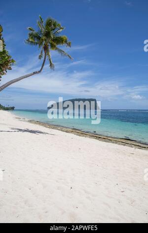 Leaning palm tree at white sand tropical beach with blue clear waters Stock Photo