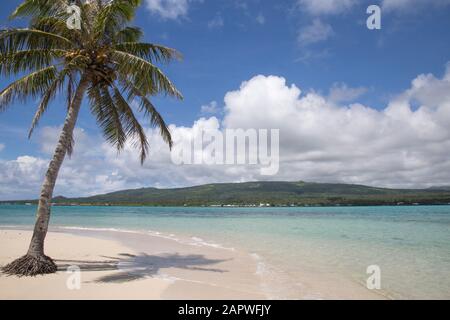 Leaning palm tree at white sand tropical beach with blue clear waters Stock Photo