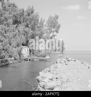 Middle East 1950-1955: Egypt  [River with pier] Date: 1950 Location: Egypt Keywords: jetties, trees, rivers Stock Photo