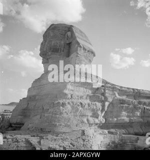 Middle East 1950-1955: Egypt  Sphinx of Giza Date: 1950 Location: Egypt, Giza Keywords: archeology, monuments Stock Photo