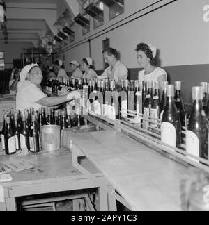 Wine Company Carmel Mizrachi Wineries at Rishon le Zion. Workers on a conveyor belt with corked and labeled wine bottles Date: 1 January 1960 Location: Israel, Rishon le Zion Keywords: workers, bottles, industry, conveyor belts, machinery, viticulture Stock Photo