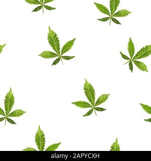 A green leaf of Cannabis medicinal plant hand drawn watercolor seamless pattern. Stock Photo