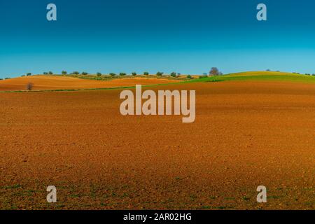Morning view of cultivated agriculture field on low hills with beautiful orange, brown, green colors and blue sky Stock Photo