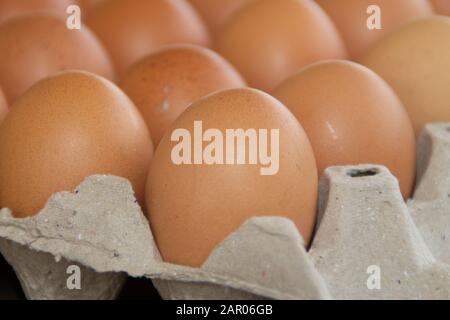 Brown chicken eggs are in the tray. Stock Photo
