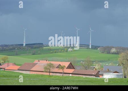 In the lippe uplands Stock Photo