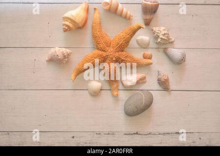 Collana Donna Oro Con Conchiglie E Stelle Marine – Gioiello A Tema Spiaggia Con Ciondoli Tartaruga E Delfino In Acciaio Inossidabile, Regalo Estivo - 2
